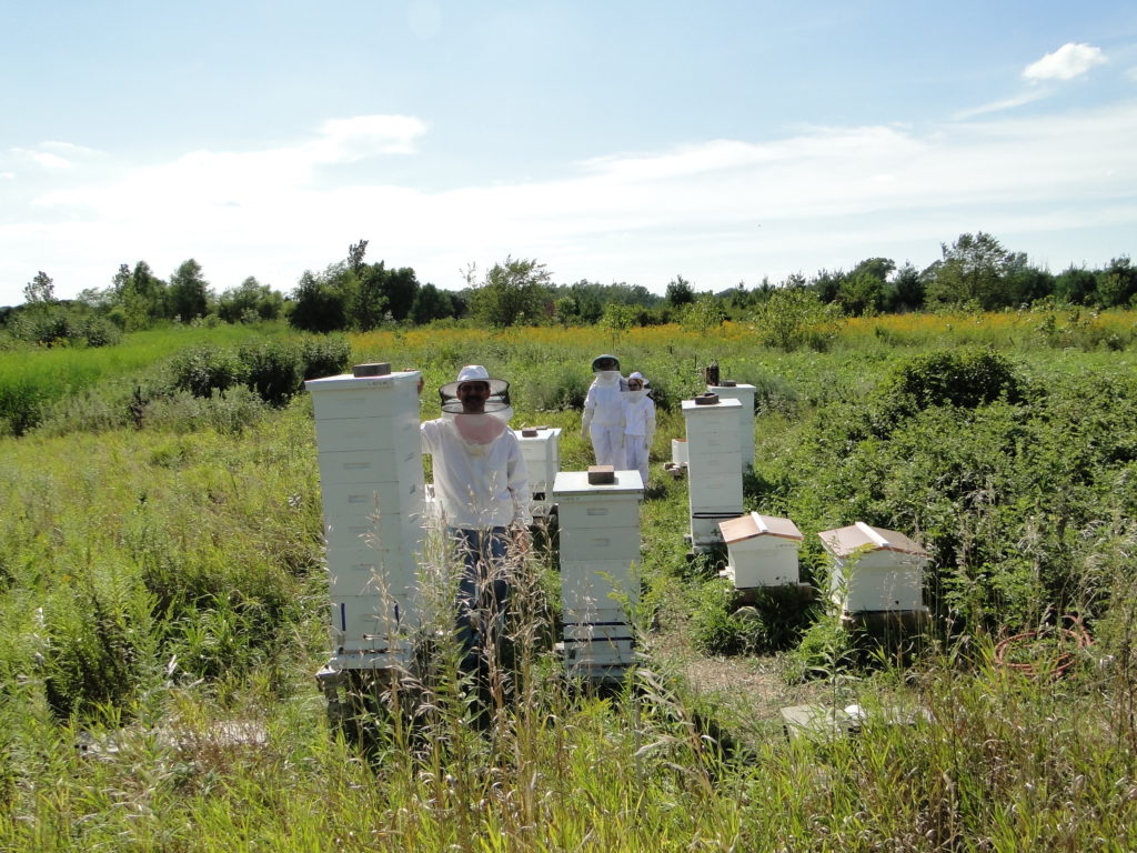 family beekeeping picture