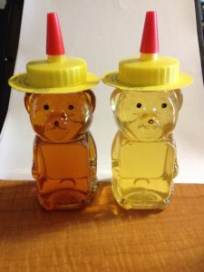 honey bears color comparison summer vs fall