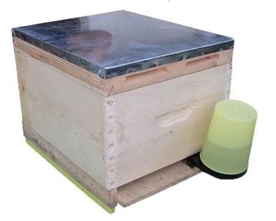 anel boardman feeder wood hive