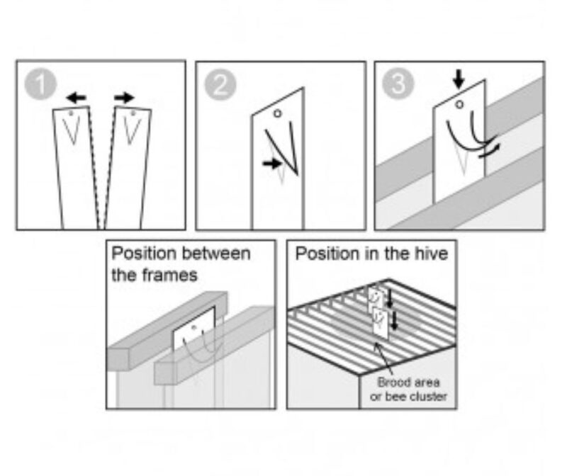 apivar strips application instructions