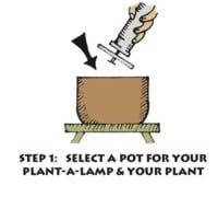 plant-a-lamp pot selection