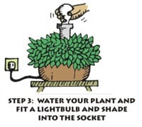 water the plantalamp soil