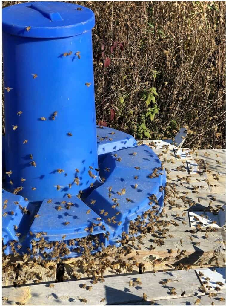 Dry Pollen Feeder / community feeder for lots of bees Meyer Bees
