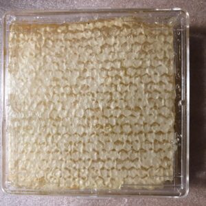 honeycomb comb honey