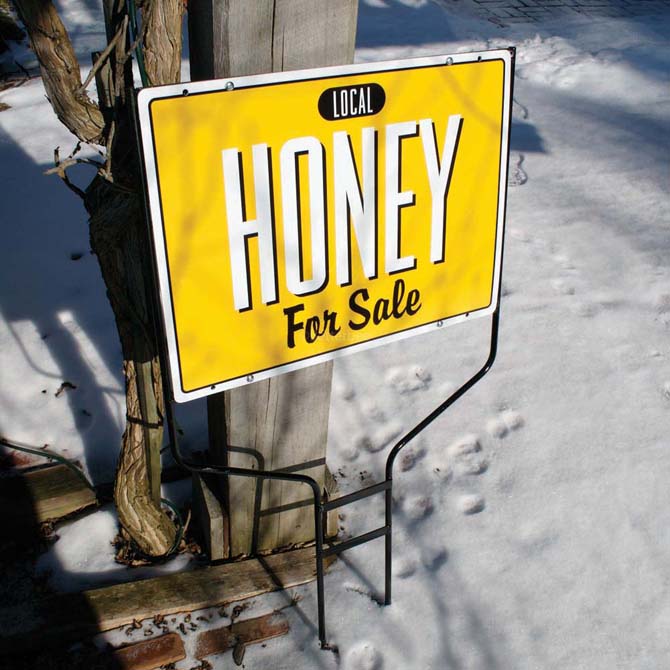 local honey for sale black&yellow
