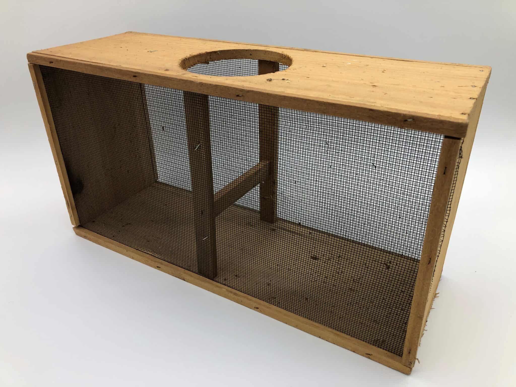 Empty Package Bee Boxes made of wood or plastic Meyer Bees