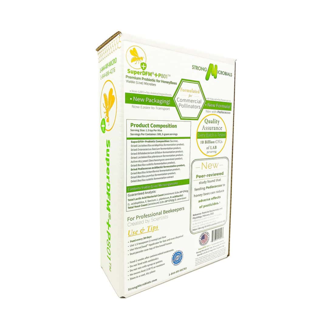 【Macさま専用】Platycerium 'Elsa' とF304 Macさま専用】Platycerium 'Elsa' とF304 SuperDFM +P801 with