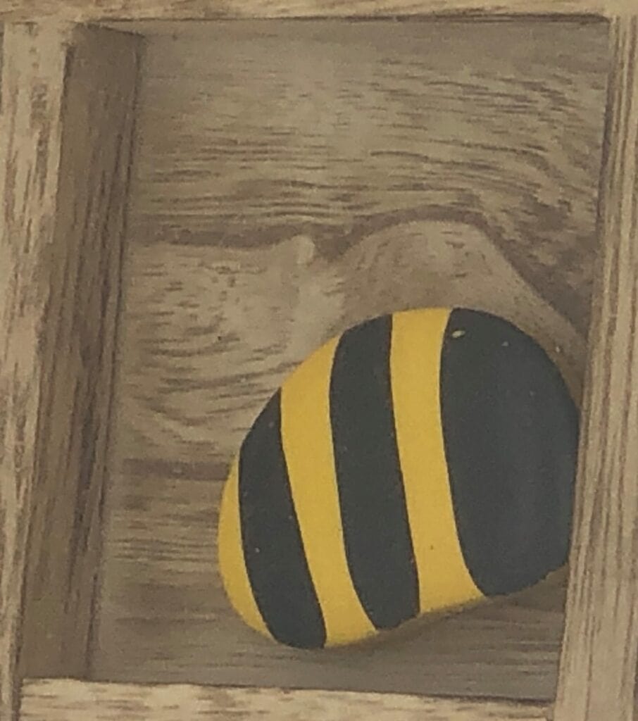Honeybee Tic Tac Toe Game - Meyer Bees