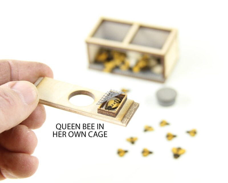 Miniature Queen in Cage