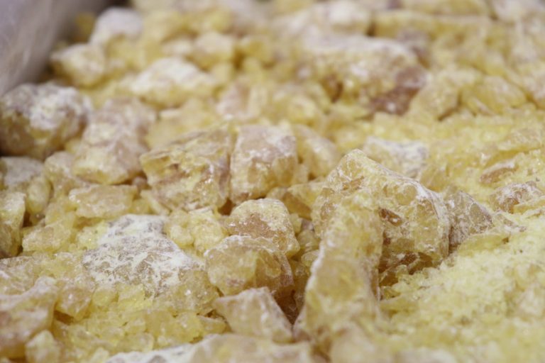 Pine Rosin Gum Meyer Bees