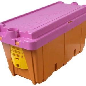 dalan afb vaccinated bees nuc