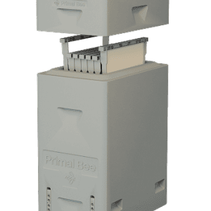 primal bee hive exploded